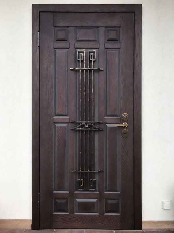 Металлическая дверь с ковкой Металлическая дверь с ковкой